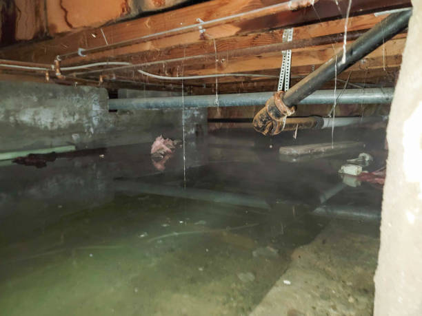 Best Fire Damage Restoration  in Coord, NC