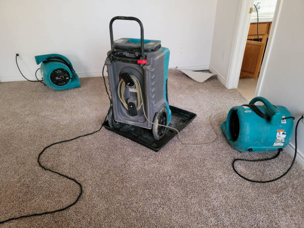 Best Water damage restoration experts  in Coord, NC