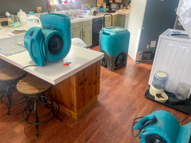 Best Water damage restoration company  in Coord, NC