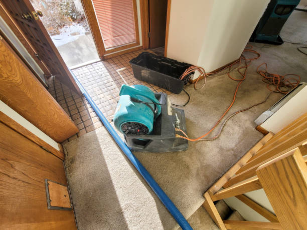 Best Water damage contractors near me  in Coord, NC