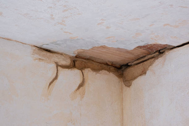 Water damage restoration mold remediation in Concord, NC