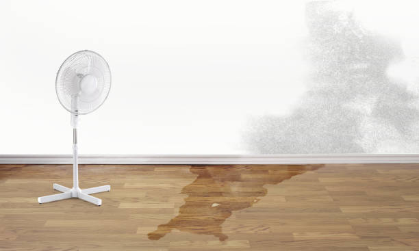 Best Basement water damage restoration  in Coord, NC