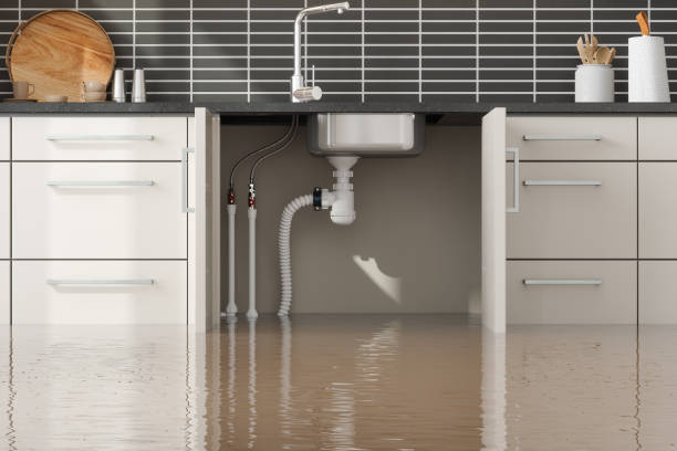 Best Flooded house restoration  in Coord, NC